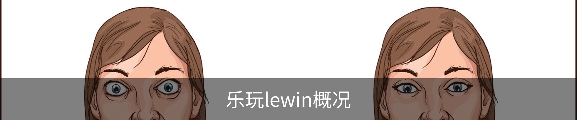 乐玩lewin概况
